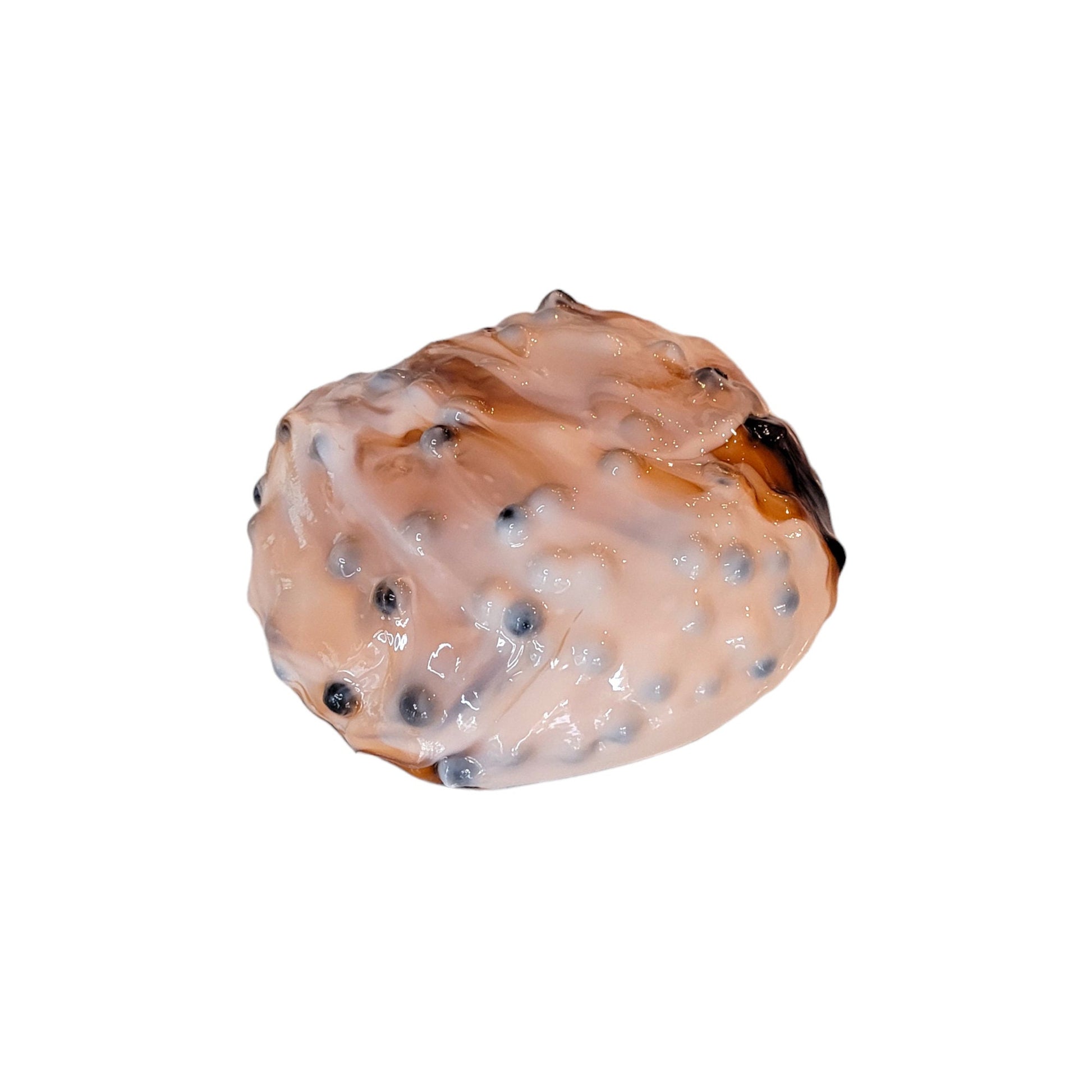 Brown Sugar Boba slime, thick and glossy, clear, Boba beads ~ fuzzy slimes ~ brown sugar scent